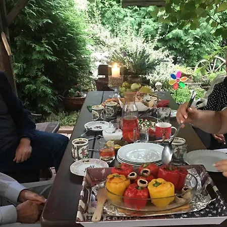 Вилла Cracow. Cherubin Garden *
